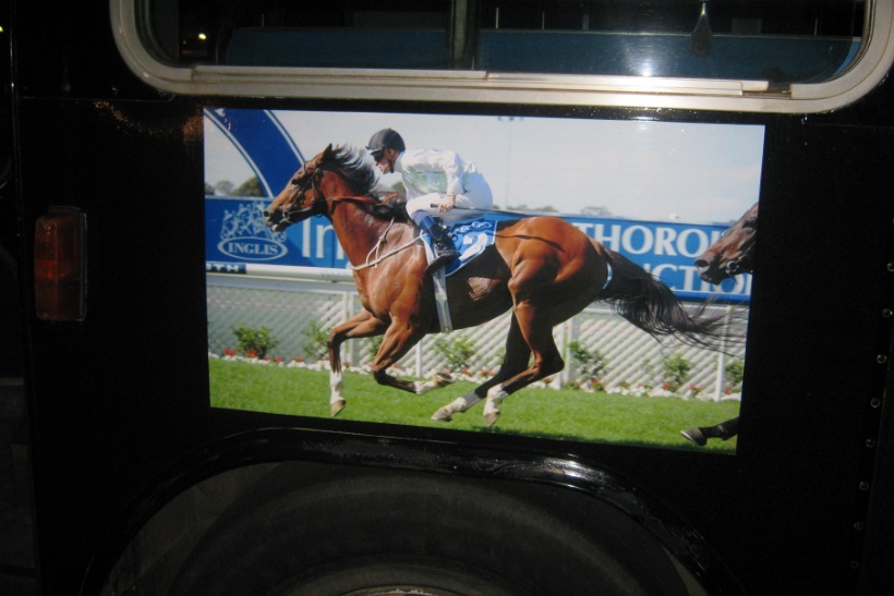 The sticker depicting the racehorse.