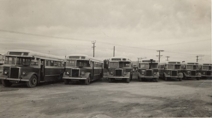 A fleet of OPS1 Leyland stored at Renown Park,SA.
