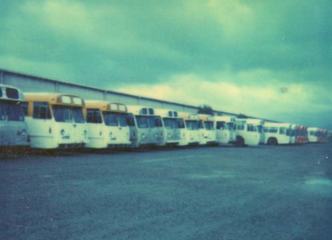 Ex STA Adelaide Leylands and AEC,etc.Bedford Street Gillman around 1982 onwards.