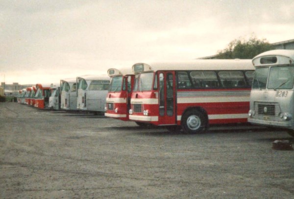 A fleet of ex STA Adelaide buses including 2 Bedford Comairs that were delivered to Associated Tourist Services.This was the most common livery using the red and creme scheme.