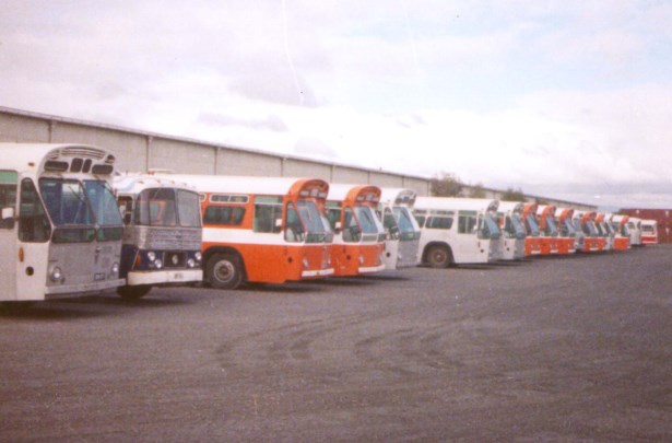 A mixed fleet of ex STA Adelaide buses.1982.