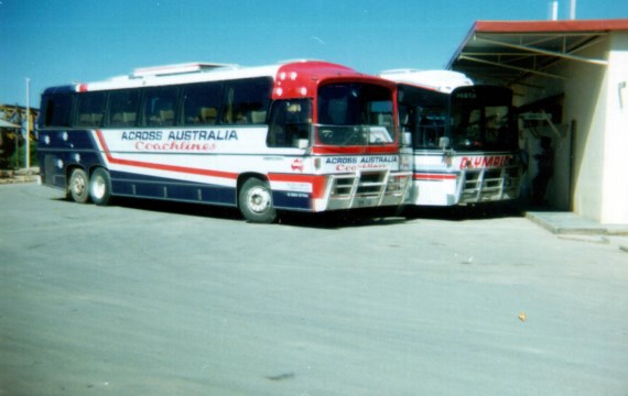 Across Australia Coachlines Tourmaster and Olympic East West Express Tourmaster at Caiguna ,WA in December 1985.