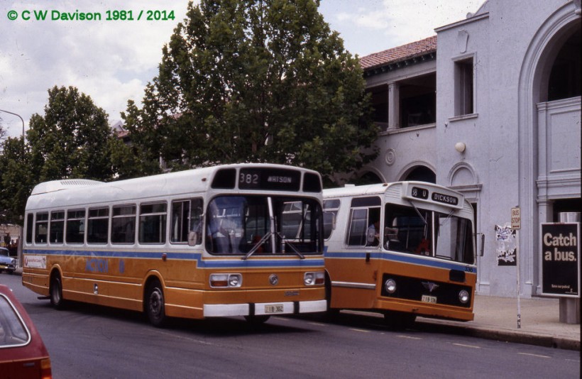 ACTION, buses 302, Leyland National, plus 336, AEC Swift, Canberra CBD, July 1981