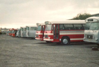A mixed fleet of ex STA including Comair's.