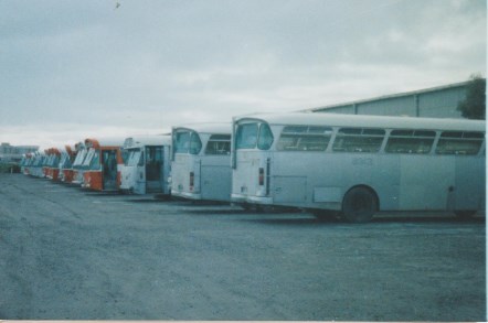 Part of the fleet of STA buses purchased in 1982.Some of the &quot;after&quot; photos are above.