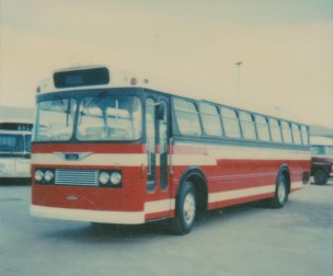 Red Bus 2-001 (304 x 252).jpg