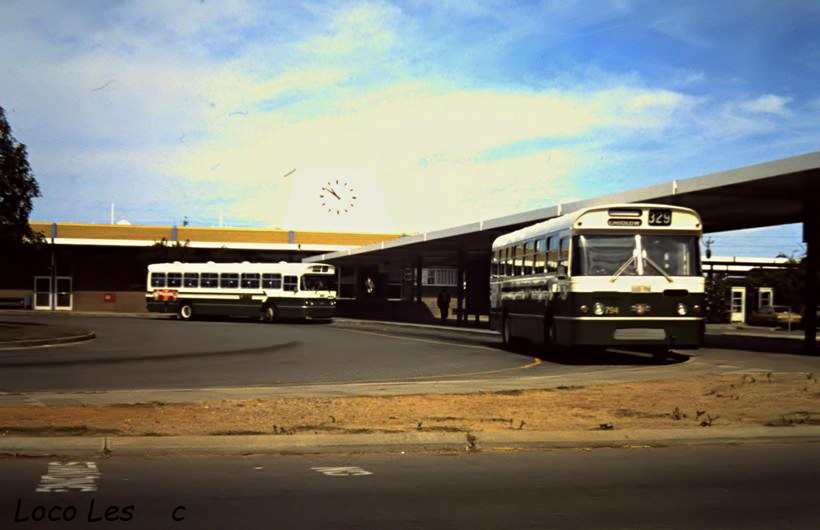 037 - MTT 794 Leyland Panther [UQB794] + similar bus @ Midland c.1981.jpg