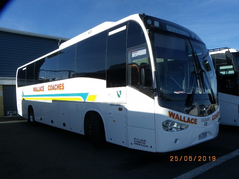 WALLACE COACHES (Ulverstone) - M.A.N 18.350 / King Long