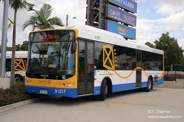 282 JEB
Brisbane Transport 1217 (282.JEB) is a MAN 18.310 with Volgren (Toowong Workshops) body. It is based at BT's Virginia depot and was photographed at Toombul Interchange.

Keywords: volgren btbuses man_18.310 chapmanphoto