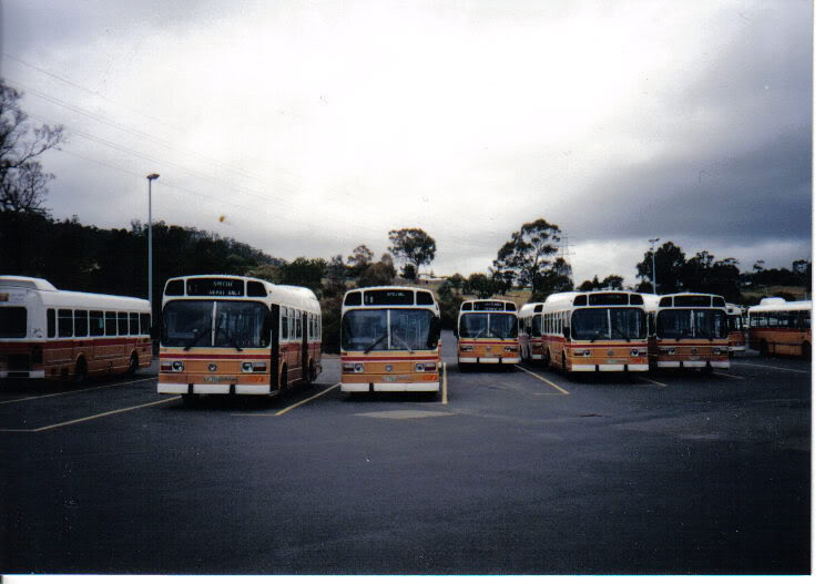 Lineup.
Metro Tasmania Leyland Nationals at Mornington Depot/Workshops.
Keywords: venturatigerphoto leyland_national metrobuses