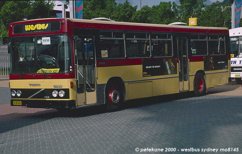 m/o 8145
Westbus Volvo B10M/Custom Coaches Mk 88 in 2000. Deregd by 1/2014.
Keywords: denairphoto volvo_B10M custom_Mk88 cdcsydney