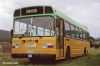 img039 - TransHuon Leyland National [DC 4490] @ Huonville c_early 2000's.jpg