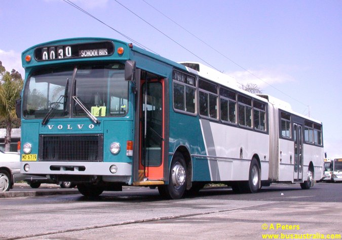 MO 6719
Nowra Coaches Volvo B58 Arti/PMCSA ex Torrens Transit, Adelaide, SA (933); ex Serco (933); ex Trans Adelaide (1357). Since reregd 2401 MO and Withdrawn by 18/7/2012.
Keywords: abpphoto PMC admetbuses premierbus volvo_B58