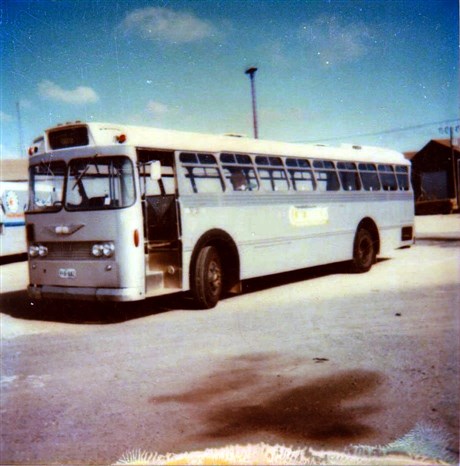 Bus11 (460 x 466).jpg